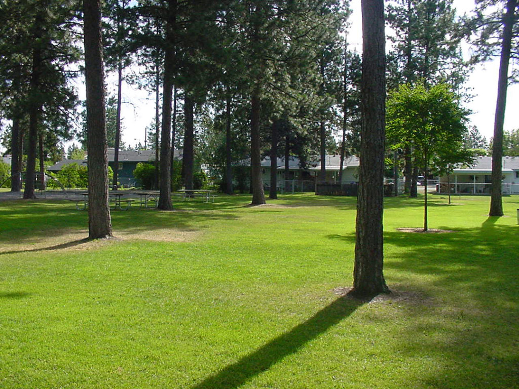 White Pine Park