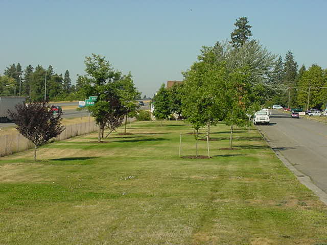 Arboretum north side